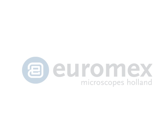Euromex EcoBlue Binocular Microscope