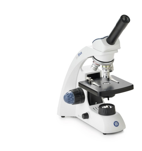 Euromex BioBlue Binocular Microscope
